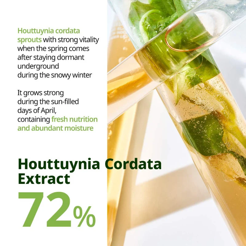 Houttuynia Cordata Calming Mask - Image 6