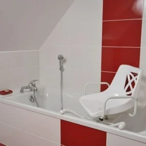 Cadeira de Banheira Giratória