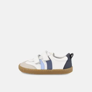 Blanditos Delfin - Branco & Azul